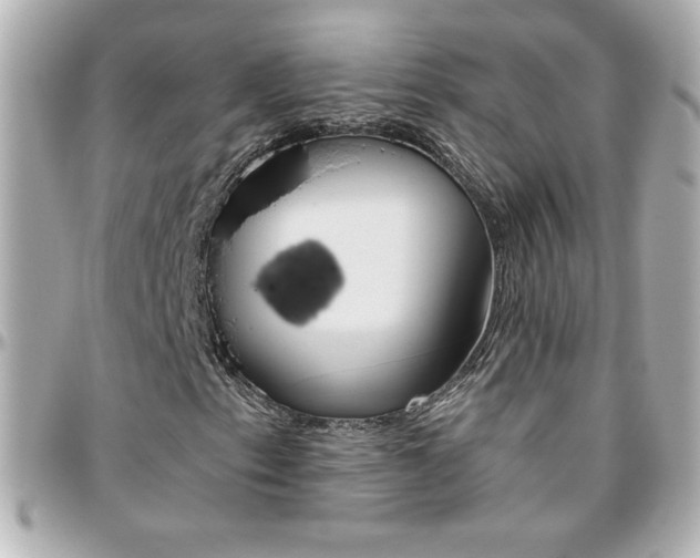 X0000096401153200801240957