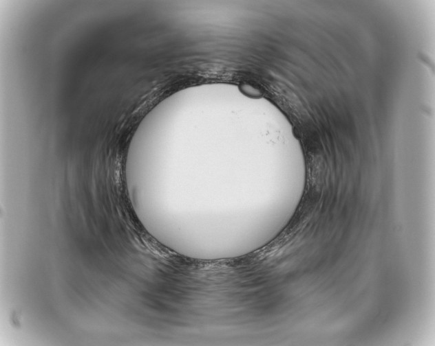 X0000096401154200801240957