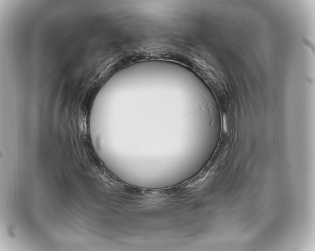 X0000096401155200801240957