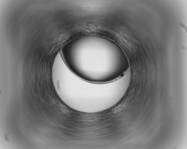 X0000096401156200801240957