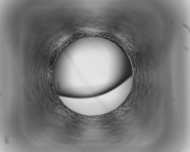 X0000096401157200801240957