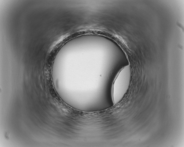 X0000096401159200801240957