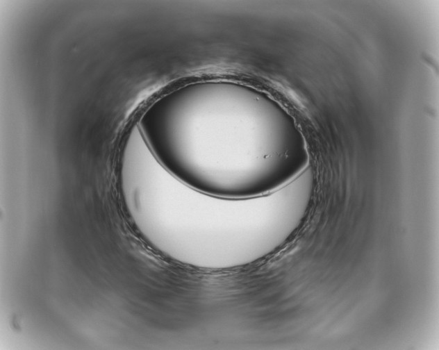 X0000096401160200801240957