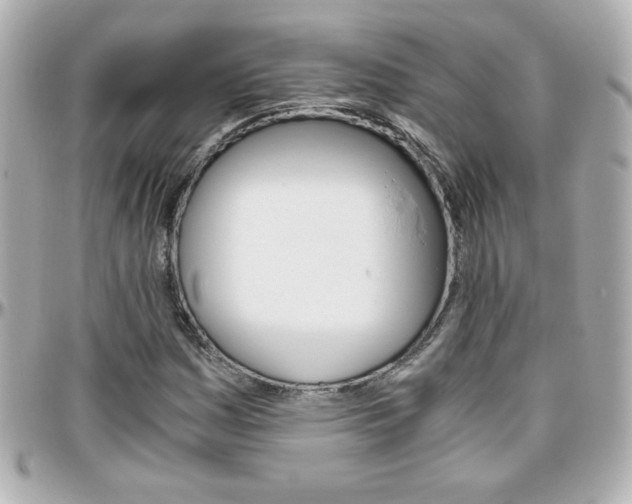 X0000096401161200801240957