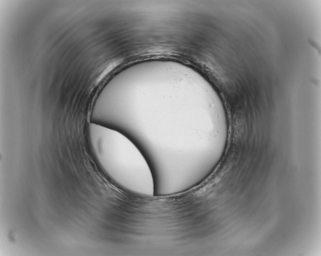 X0000096401162200801240957