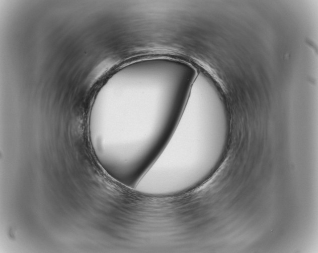 X0000096401163200801240957