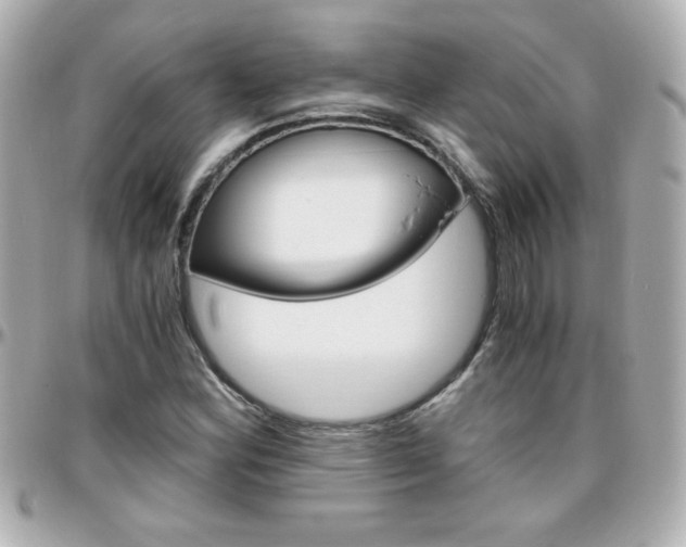 X0000096401164200801240957