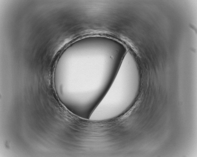 X0000096401165200801240957