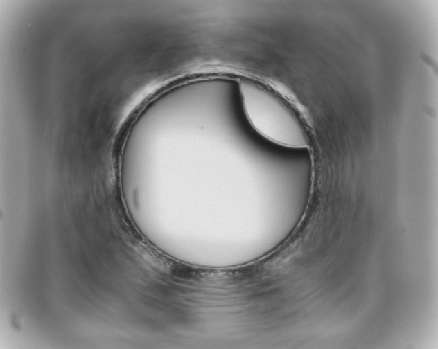 X0000096401167200801240957