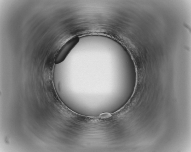 X0000096401169200801240957