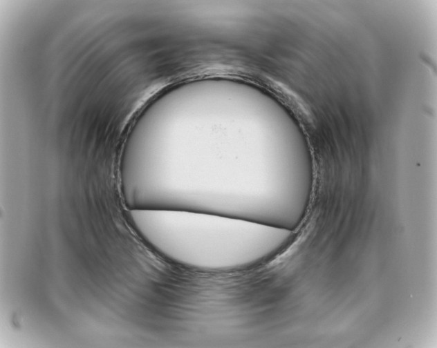 X0000096401170200801240957