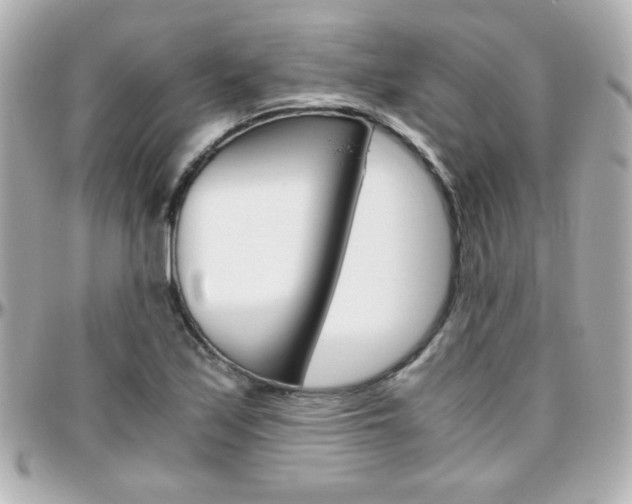 X0000096401171200801240957