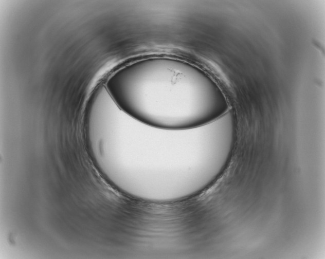 X0000096401172200801240957