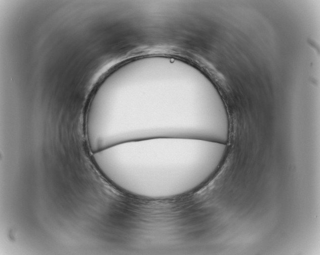 X0000096401174200801240957