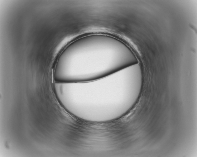 X0000096401175200801240957