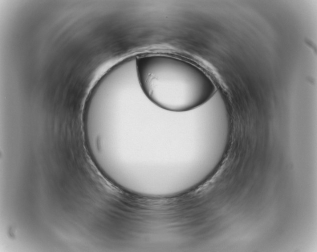 X0000096401176200801240957