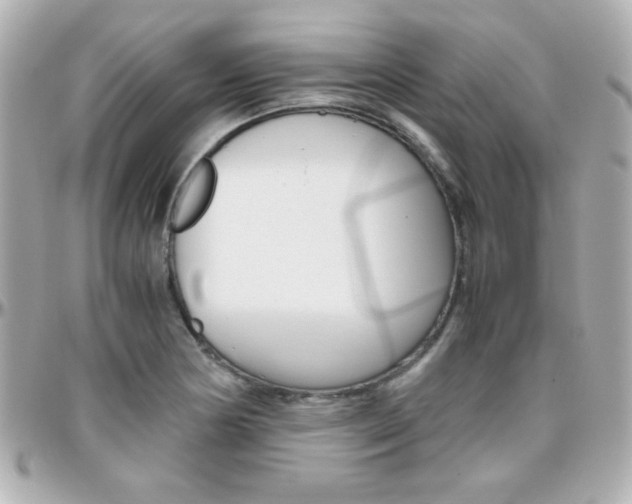 X0000096401178200801240957