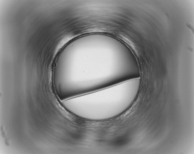 X0000096401179200801240957