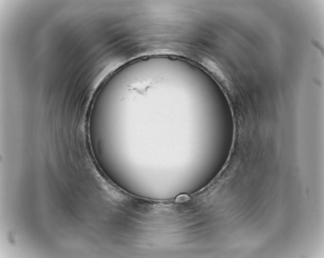 X0000096401181200801240957