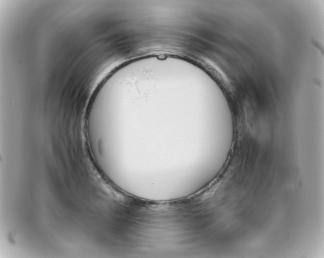 X0000096401182200801240957