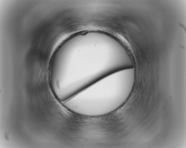 X0000096401183200801240957