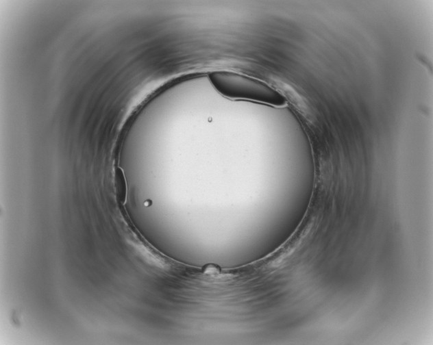 X0000096401184200801240957