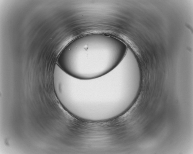 X0000096401185200801240957