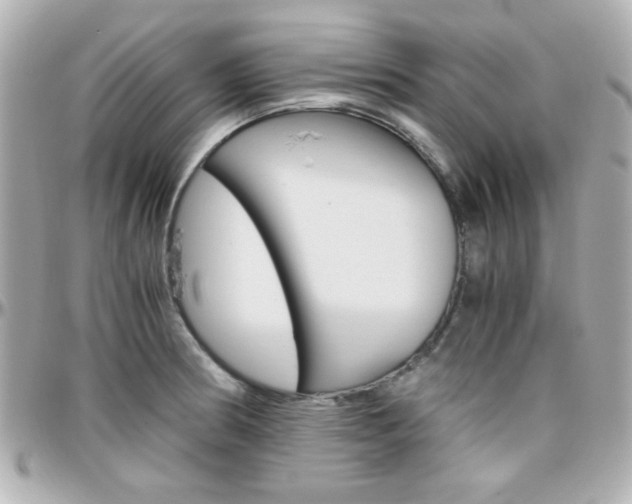 X0000096401186200801240957