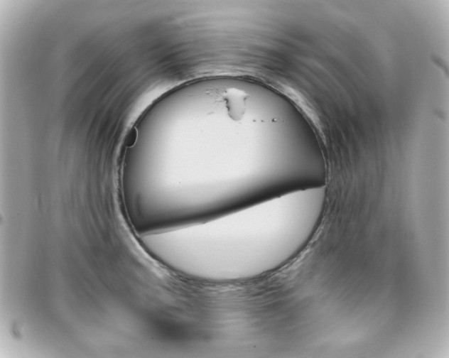 X0000096401187200801240957