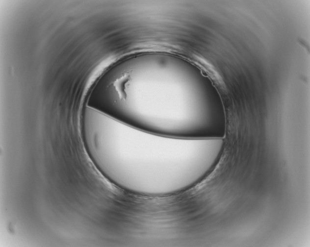 X0000096401188200801240957