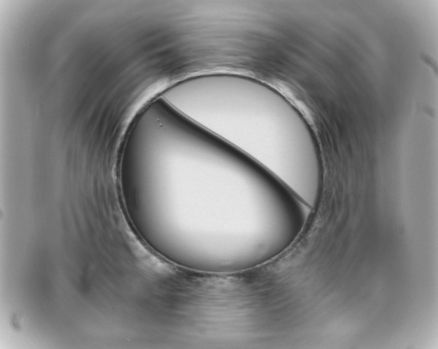 X0000096401189200801240957