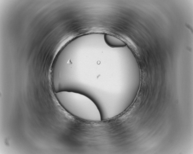 X0000096401190200801240957