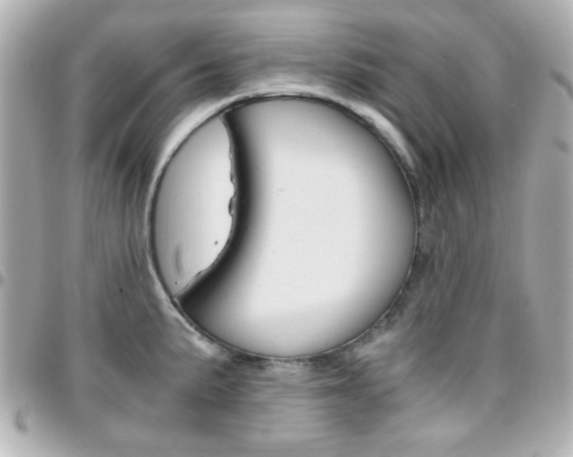 X0000096401191200801240957