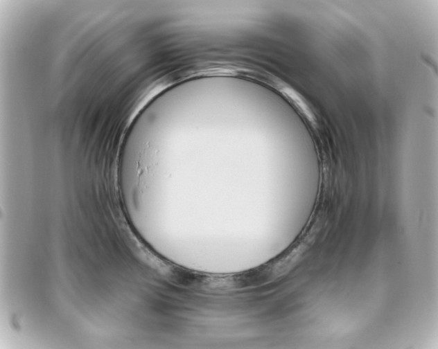 X0000096401194200801240957