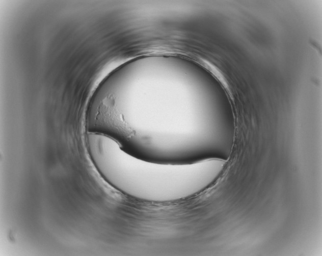 X0000096401195200801240957
