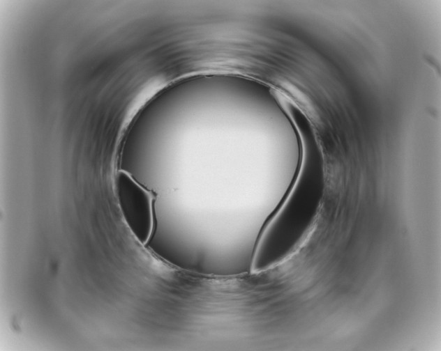 X0000096401196200801240957