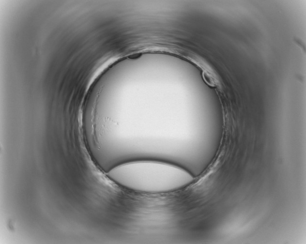 X0000096401198200801240957