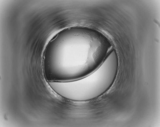 X0000096401200200801240957
