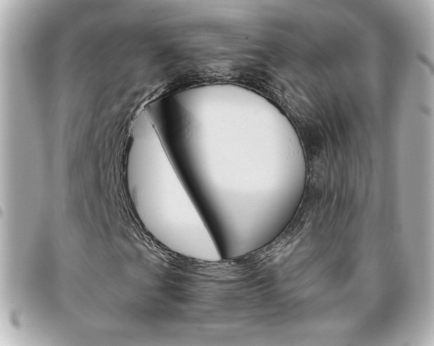 X0000096401201200801240956