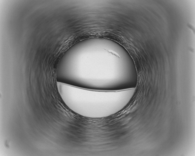 X0000096401202200801240956