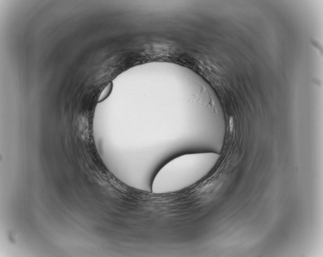 X0000096401203200801240956