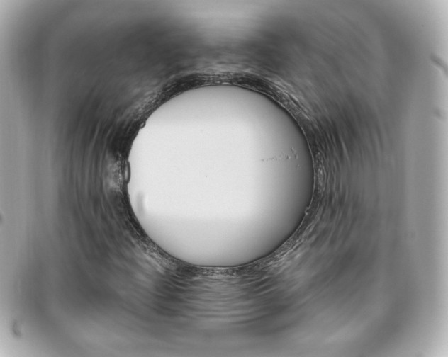 X0000096401204200801240956