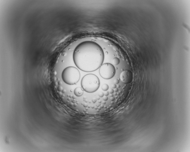 X0000096401205200801240956