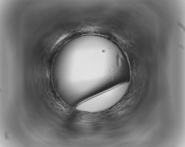X0000096401206200801240956