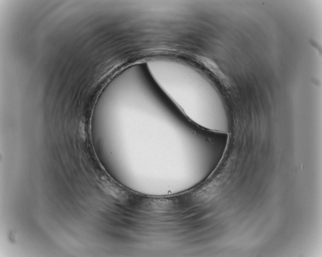 X0000096401209200801240956