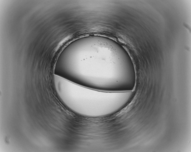 X0000096401210200801240956