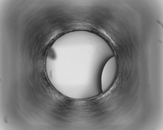 X0000096401211200801240956