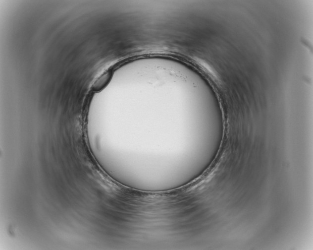 X0000096401212200801240956