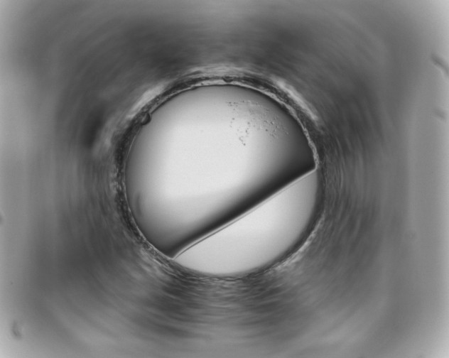 X0000096401213200801240956