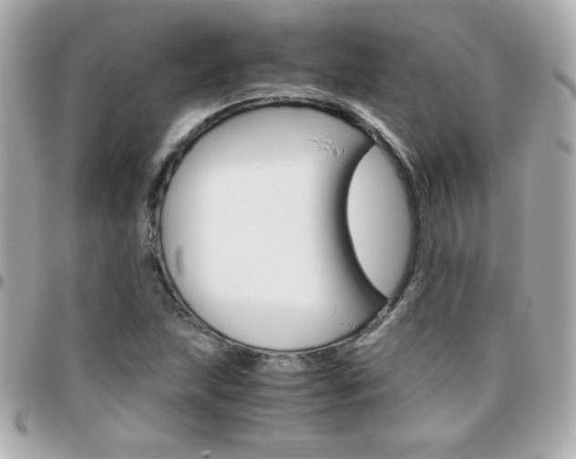 X0000096401215200801240956